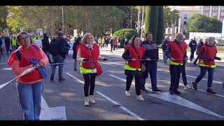 El movimiento pensionista exige PENSIONES DIGNAS y PÚBLICAS en Madrid [upl. by Leunad]