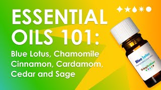 Essential Oils 101 Blue Lotus Chamomile Cinnamon Cardamom Cedar and Sage [upl. by Eibbob]