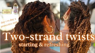 TWO STRAND TWISTS protective style to promote hair growth [upl. by Rosy903]