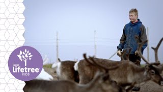 Nicolai and Reindeer Herding  Group Kid Vid Cinema [upl. by Slein]