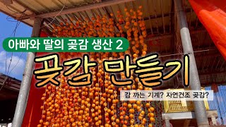 아빠와 딸의 곶감 생산 2  본격 곶감 만들기감 까는 기계감박피기 자연건조 곶감 [upl. by Natal197]