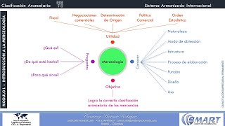 CLASIFICACIÓN ARANCELARIA [upl. by Ciredor842]