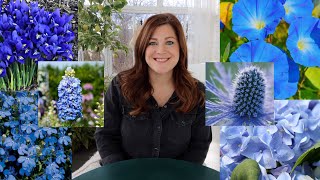 20 Plants With Blue Flowers 💙💙💙 Garden Answer [upl. by Sharla]