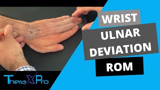 Goniometry  Wrist Ulnar Deviation Range of Motion [upl. by Artinak230]