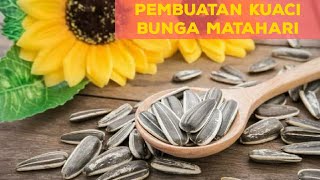 Ternyata begini CARA PEMBUATAN KUACI [upl. by Bortz613]