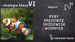 Biologia klasa 6 Lekcja 13  Ryby  kręgowce środowisk wodnych [upl. by Armanda277]