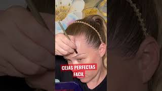 CEJAS PERFECTAS FACIL técnica para principiantes [upl. by Nylaras]