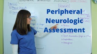 Peripheral Neurologic Assessment [upl. by Bailar]