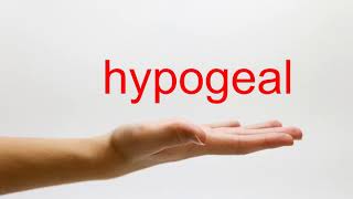 How to Pronounce hypogeal  American English [upl. by Ahsian]