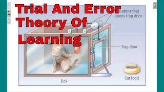 trial and error theory of learning [upl. by Anneuq98]