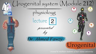 PhysioUrogenital system kidney module 212 Dr Ahmed Fawzy Lec 2 [upl. by Hluchy]