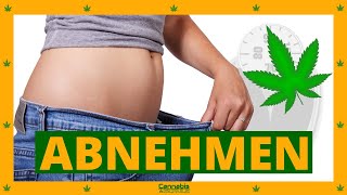 Abnehmen mit Cannabis So funktioniert es wirklich Booste deine Diät [upl. by Norahs154]