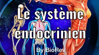 Physiologie animale le système endocrinien glande hormone hypothalamus et hypophyse [upl. by Shull]