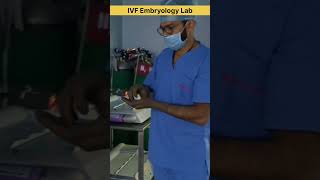 IVF Embryology Lab working ivf ivfcenter ivfclinic embryology embryologist ivfprocess shorts [upl. by Sonahpets]