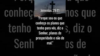 VERSÍCULO DA BÍBLIA  JEREMIAS 2911 [upl. by Tiraj]