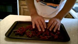 How to freeze currants [upl. by Yelyac470]