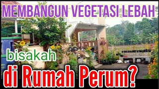 Membangun Vegetasi Lebah di Rumah Perum Bisakah trigonaindonesiatv [upl. by Nottage848]