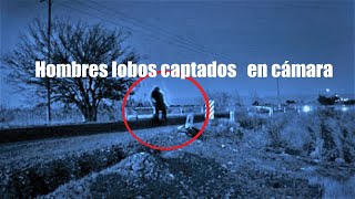 6 Grabaciones de Hombres Lobo que Parecen Reales  Licántropos captados en vídeo Onda Nakame [upl. by Osrick67]