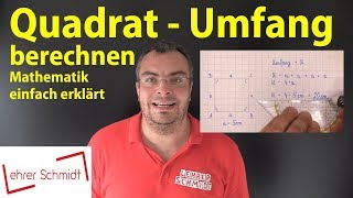 Quadrat  Umfang berechnen  Lehrerschmidt  einfach erklärt [upl. by Kcirreg]