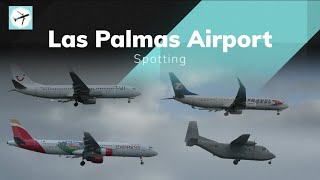 B789 A332 A321 B739ER A320 B738 A319 ATR72 C212  Las Palmas Airport  Spotting [upl. by Led]