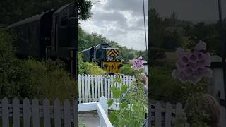 BR class 14 D9504 ‘Jon grimwood’ arriving into tenterdon station the Kent and East Sussex railway [upl. by Helen]