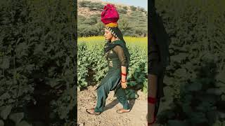 Aslam singer mewati Sanaa mewati mewat mewativideo mewatimusic viralvideo aslam aslamsinger [upl. by Kosak]