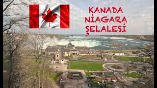 Niagara Şelalesi  Canada Torontodan Niagaraya Nasıl Ucuza Gidilir [upl. by Xyla59]