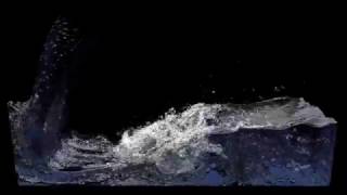 Realflow 10 Foamsplash [upl. by Giorgi515]