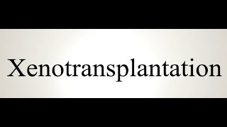 How to pronounce xenotransplantation EASILY [upl. by Atlanta]