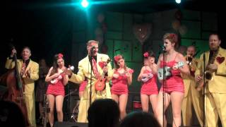 Satin Dollz  Bring Me Sunshine with the Jive Aces at Pasadena 2011 [upl. by Akciret]