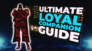 New Loyal Companion Sharpshooter  Everything You NEED To Know Guide [upl. by Garap]