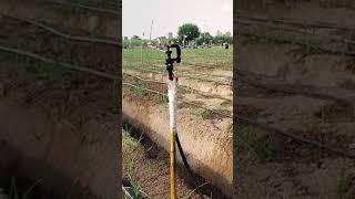 Micro sprinkler  Sprinkler system Drip irrigation system [upl. by Bina411]