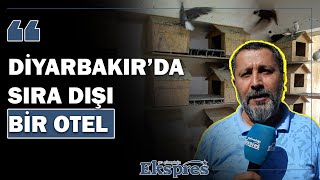 Diyarbakır’da sıra dışı bir otel KUÇE  Ekspres Haber [upl. by Melina374]