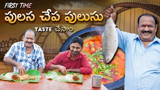 పులస చేపల పులుసు  Pulasa Fish Curry  Most Costliest Fish  Godavari special [upl. by Eissac]