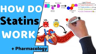 How do Statins Work  Pharmacology [upl. by Filomena]