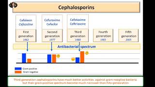 Cephalosporins Antibacterial Spectrum five generations cephalosporins [upl. by Ainoz725]