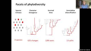 Facets of phylodiversity [upl. by Enohsal]