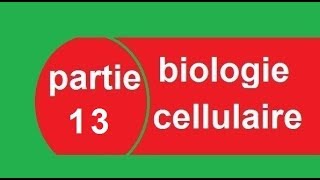 cours biologie cellulaire partie 13 Transcription  البيولوجيا بالدارجة [upl. by Stannwood928]