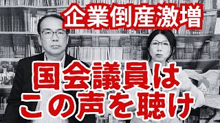 【倒産激増】国会議員は事業者の悲痛な叫びを聞け！ [upl. by Trinl992]