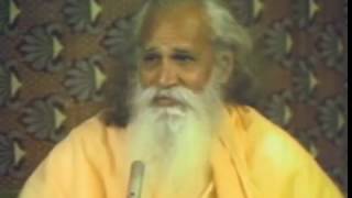 Swami Satchidananda The Story of My Life [upl. by Yrffej332]