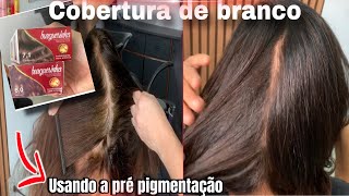 COMO COBRIR CABELO BRANCO COM A PRÉ PIGMENTAÇÃO [upl. by Ognimod350]