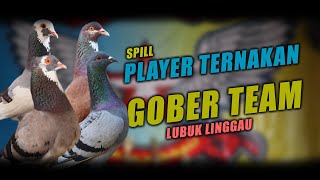 ✅SPILL PLAYER TERNAKAN TEAM GOBER LUBUK LINGGAU  MERPATI KOLONG [upl. by Ticon]