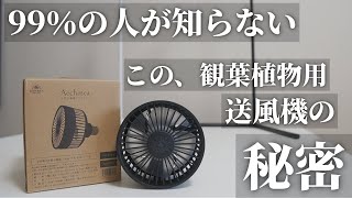 【小型送風機】観葉植物専用の小型サーキュレーターが発売！BARRELバレル「小型送風機 Aechmeaエクメア」アガベ、塊根植物、エアプランツにオススメ！パルダリウムにも使える！植物育成ライトと一緒に [upl. by Akirrehs]