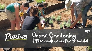 PURiNO Restaurant– URBAN GARDENING im PURiNO Hartder Wald [upl. by Ennairac]