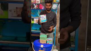 VR aqua pets store GUNTAKAL ✨guntakal anatapur hamsters [upl. by Glasgo]