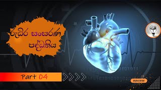 සතුන්ගේ සංසරණ පද්ධතිය part 04l circulatory system  AL biology sinhala lessons [upl. by Philipp145]