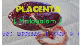 Malayalam Tutorial  OBG NURSING  PART 5  Placenta [upl. by Ainniz]