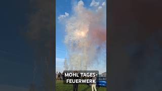 TagesFeuerwerk fireworks feuerwerk experiment vuurwerk silvester bigboom explosion shorts [upl. by Anni756]