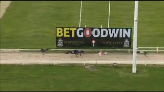 BUBBLY BREEZER Gets His First Win In The TOWCESTER MAIDEN DIV 1 Race In Trap 3 At Towcester [upl. by Putnam]