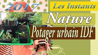 Potager urbain fin mai 2017 [upl. by Ayt]